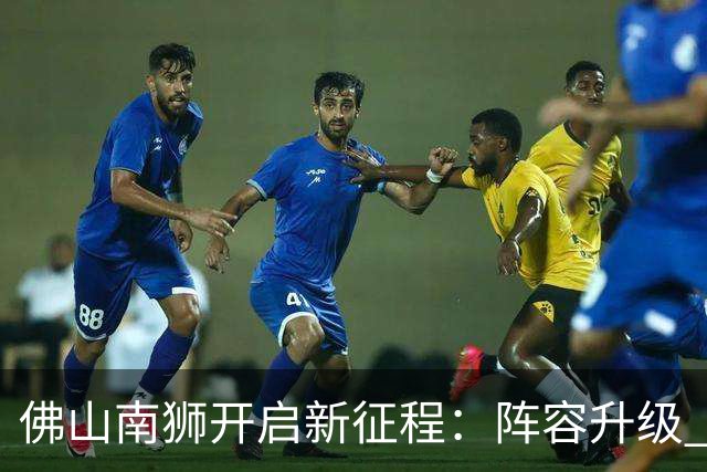 佛山南狮开启新征程：阵容升级 目标中甲前八