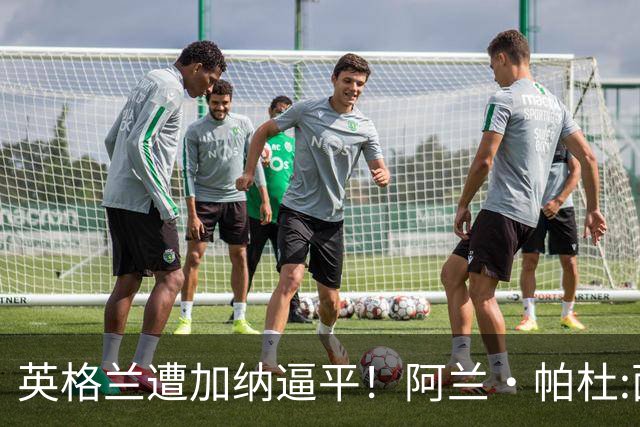 英格兰遭加纳逼平！阿兰·帕杜:面对这种局面 我会很想带上帕尔默