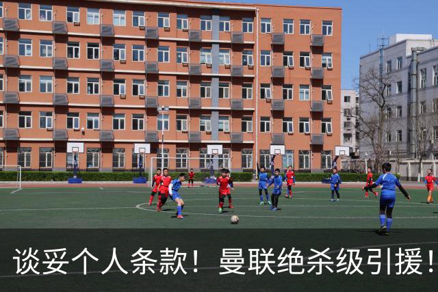 谈妥个人条款！曼联绝杀级引援！新目标实力碾压楚阿梅尼