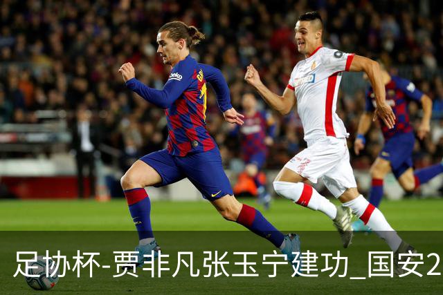 足协杯-贾非凡张玉宁建功 国安2-1大连可为晋级8强