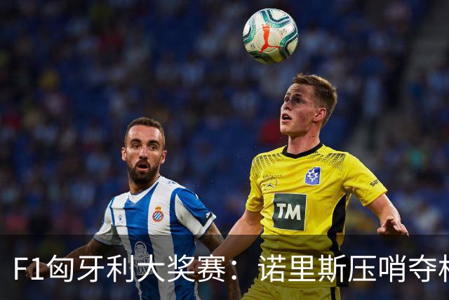 F1匈牙利大奖赛：诺里斯压哨夺杆